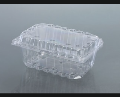 LIVE PUNNET BOX (500ml)